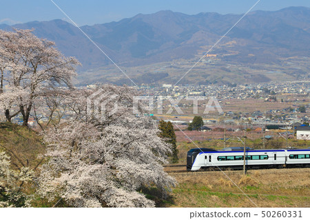 Katsunuma grape town cherry tree E353 series 50260331