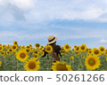 Woman is enjoy traveling inside sunflower field  50261266