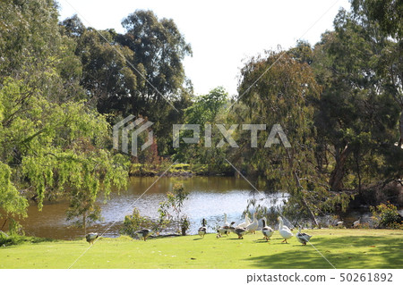 彼得兔世界 50261892