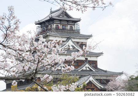 廣島城的天樞被櫻花染成了 50263082