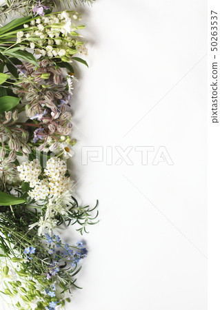 Flower frame of spring Flower frame of spring 50263537
