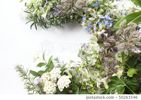 Flower frame of spring 50263546