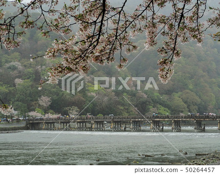 Arashiyama Togetsu Bridge吸煙粉絲 50264457