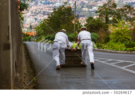 Toboggan riders on sledge in Monte - Funchal Toboggan riders on sledge in Monte - Funchal 50264617