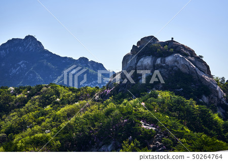 In the spring of 2019, 50264764