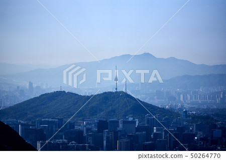 在2019年春天， 50264770