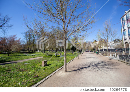 Old Cemetery in Malmo, Sweden 50264778