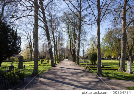 Old Cemetery in Malmo, Sweden Old Cemetery in Malmo, Sweden 50264784