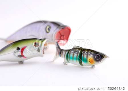 Fishing tackle, lure, bait, fishing 50264842