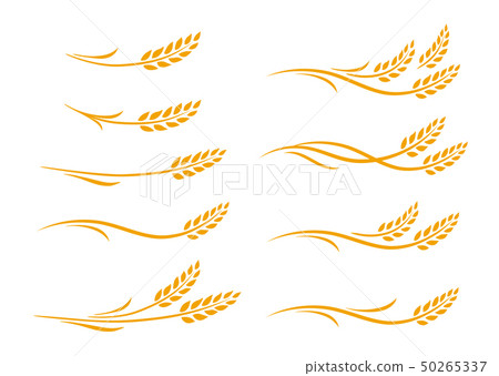 set of hand drawn doodle wheat ears 50265337