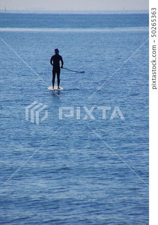 coast, seaside, shore 50265363