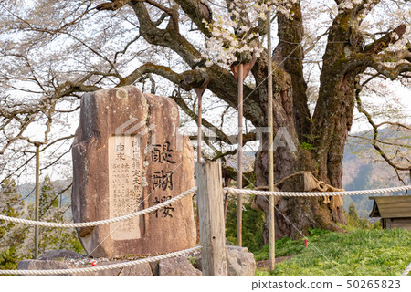 岡山縣真庭市 岡山縣真庭市 50265823