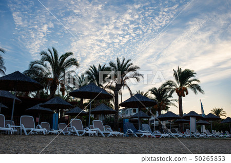 Many deck chairs on sandy beach in sunrise. 50265853