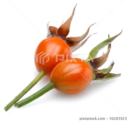 Fresh rose hip isolated on white Fresh rose hip isolated on white 50265923