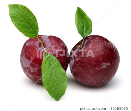 Red plums with leaves isolated on white 50265980