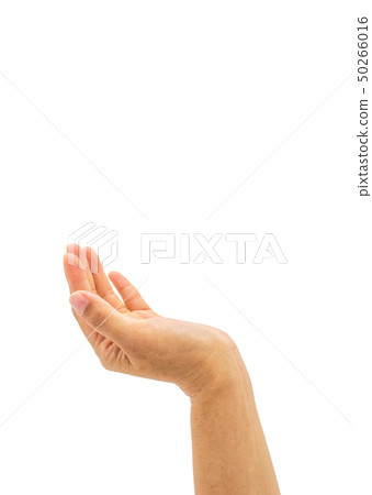 Hand with palm up with empty space for adding text Hand with palm up with empty space for adding text 50266016