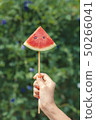 Women holding watermelon slices On a bright day. I 50266041