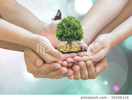 Retirement planning, family financial investment 50266116