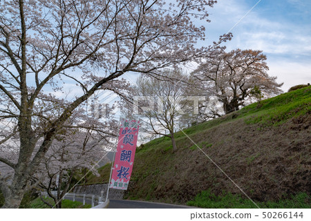 Maniwa City, Okayama Prefecture Maniwa City, Okayama Prefecture 50266144
