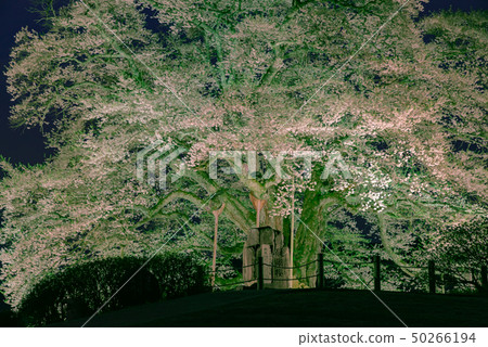 Maniwa City, Okayama Prefecture Maniwa City, Okayama Prefecture 50266194