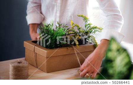 A midsection of young creative woman in a flower shop. A startup of florist business. A midsection of young creative woman in a flower shop. A startup of florist business. 50266441