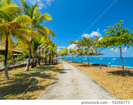 Overseas Resort Hotel 50266773