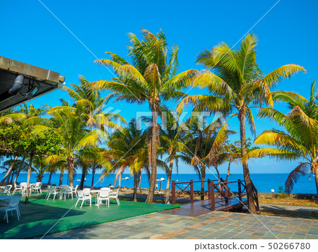 海外度假酒店 50266780