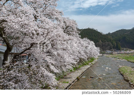 岡山縣真庭市 岡山縣真庭市 50266809
