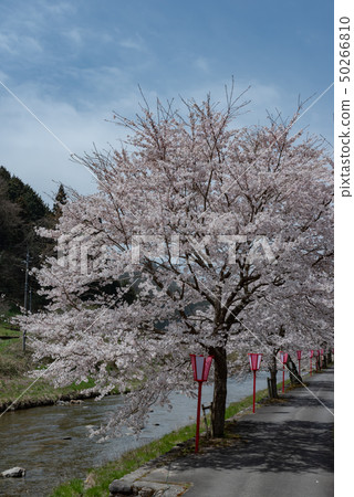 岡山縣真庭市 50266810