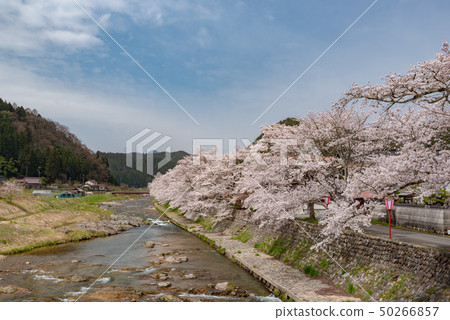Maniwa City, Okayama Prefecture Maniwa City, Okayama Prefecture 50266857
