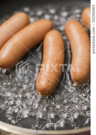 [Wiener Boyle] 50266865