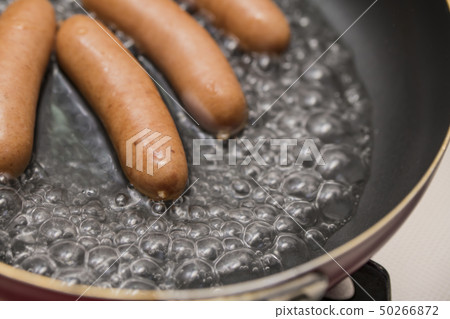 [Wiener Boyle] 50266872