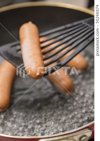 [Wiener Boyle] 50266874