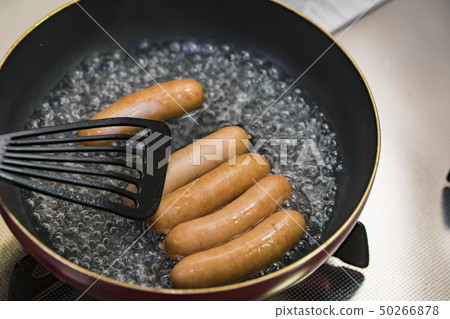 [Wiener Boyle] 50266878