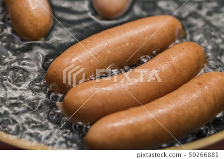 [Wiener Boyle] 50266881