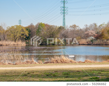 Park Nono Pond 50266882