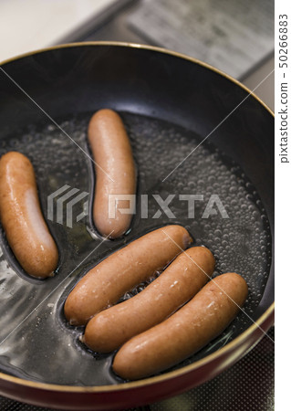 [Wiener Boyle] 50266883