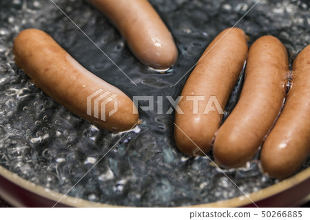 [Wiener Boyle] 50266885