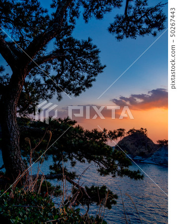[Shizuoka Prefecture Izu Peninsula Geopark] Evening view of West Izu Dogashima [Winter] 50267443