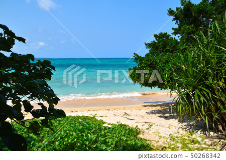 Yatsushige海灘 50268342