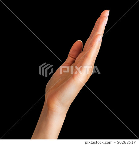 Woman showing open hand taking or showing something Woman showing open hand taking or showing something 50268517