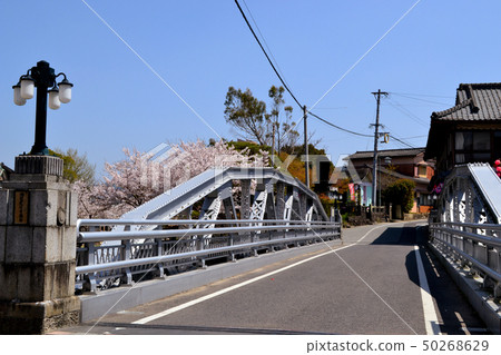Saga Ureshino Onsen A row of trees colored by cherry blossoms 50268629