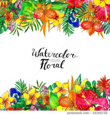 Watercolor Background with tropical plants and flowers Watercolor Background with tropical plants and flowers 50268730