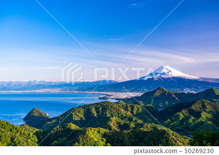 [靜岡縣]從新鮮的綠色葛城到富士山 50269230