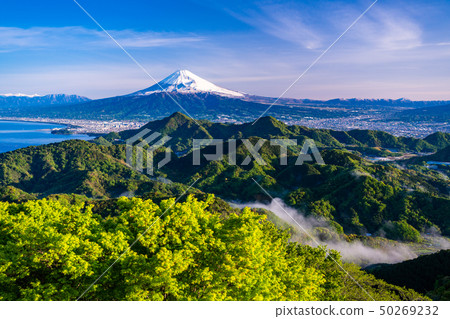 [Shizuoka Prefecture] From fresh green Katsuragi to Mt. Fuji 50269232