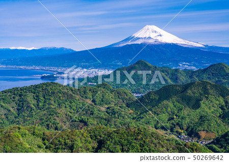 [Shizuoka] Mt. Fuji seen from fresh green Katsuragi 50269642