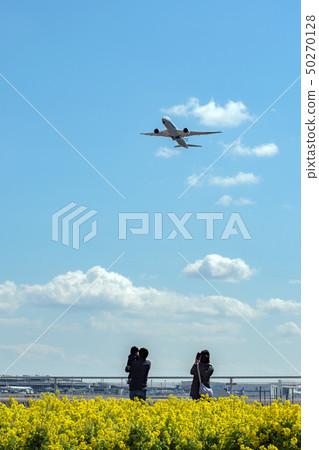 Rape blossoms and airplane and family Rape blossoms and airplane and family 50270128