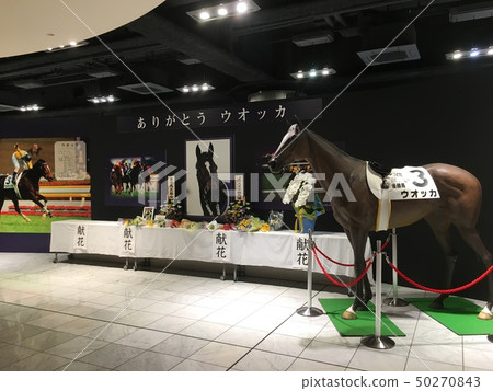 Vodka flower stand 50270843