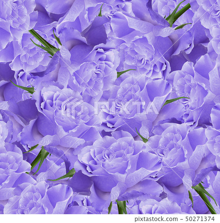 Floral  violet beautiful background.  Flower 50271374
