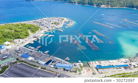 Kochi Kashiwa寄生蟲鳥瞰圖風景 50272097